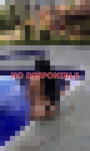 Karol 959963878, Escort en Viña del Mar