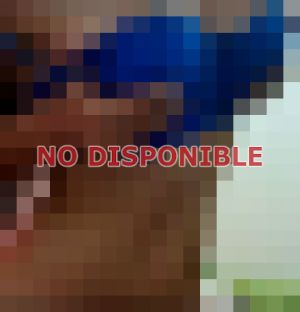 escort 971582856 - Puta en Los Ángeles