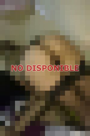 Andinas Hot 972861946 - Escort en Valparaíso
