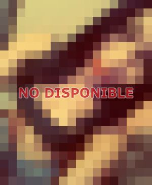 Escort 941101097, Puta en Santiago