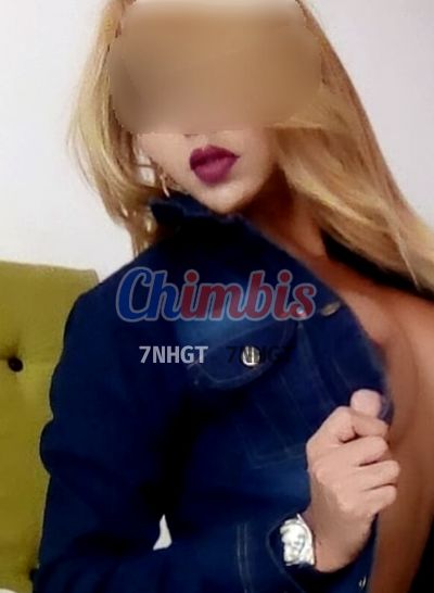 Nikol, Puta en Baquedano / Plaza Italia (Santiago)