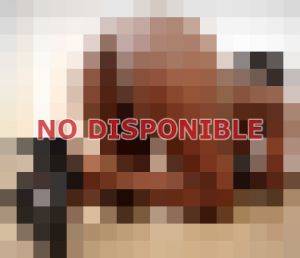 Génesis 954754548, Escort en Santiago