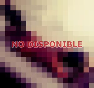 Karina 946830377 - Escort en Metro La Moneda