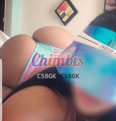 Laura, escort en Metro Santa Ana (Santiago)