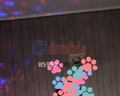 Escort 958733840, Puta en Punta Arenas