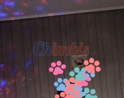 Escort 958733840, Puta en Punta Arenas