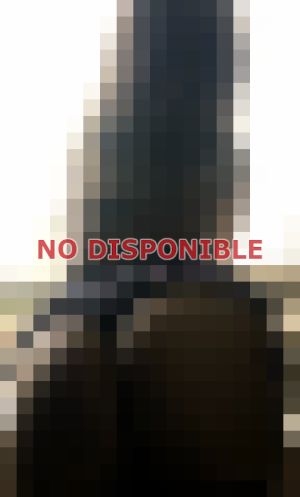 puta en Iquique