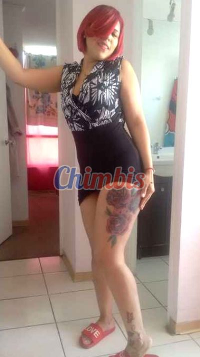 Gaby, escort en Independencia (Santiago)