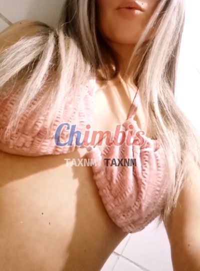 Camila, escort en Providencia (Santiago)
