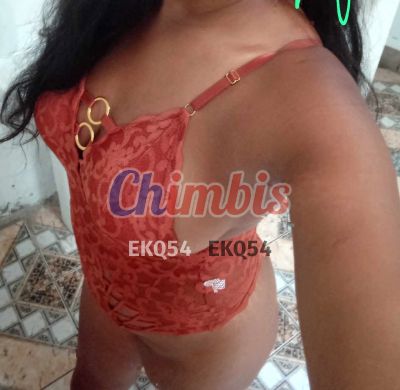 Canela 931461717, escort en Ovalle