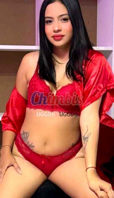 Dani, escort en Metro Irarrázaval (Santiago)