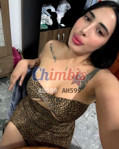 EXITOSA, escort en Maipú (Santiago)