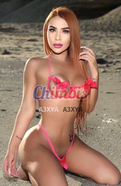 Alexia, shemale en Las Condes (Santiago)