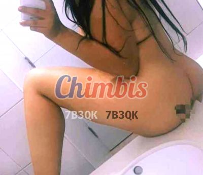 Karina, escort en Metro Universidad Católica (Santiago)