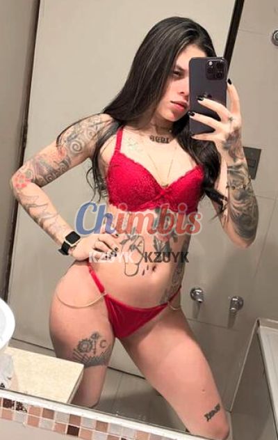 Camila, escort en Providencia (Santiago)