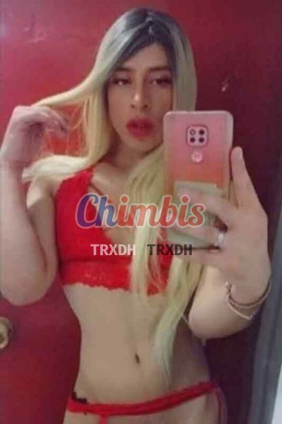 Jessica, transexual en Centro (Santiago)