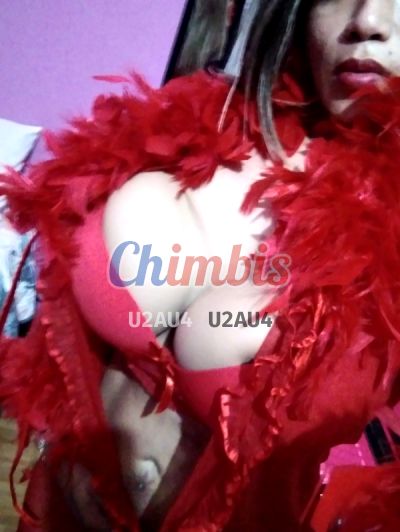 Perlita, shemale en Antofagasta