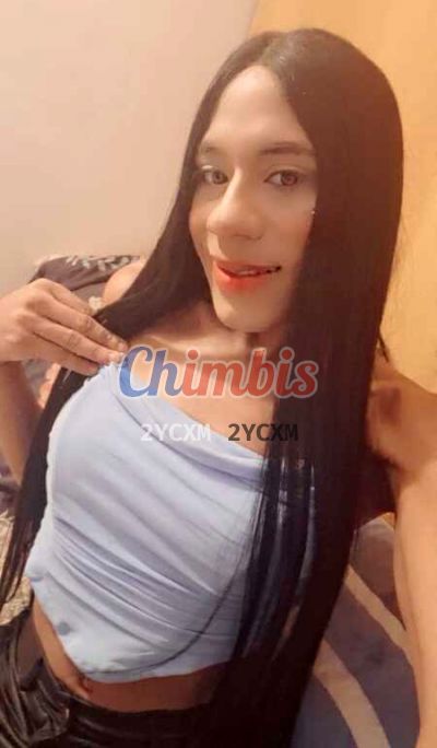 Femenina, transexual en Chillán