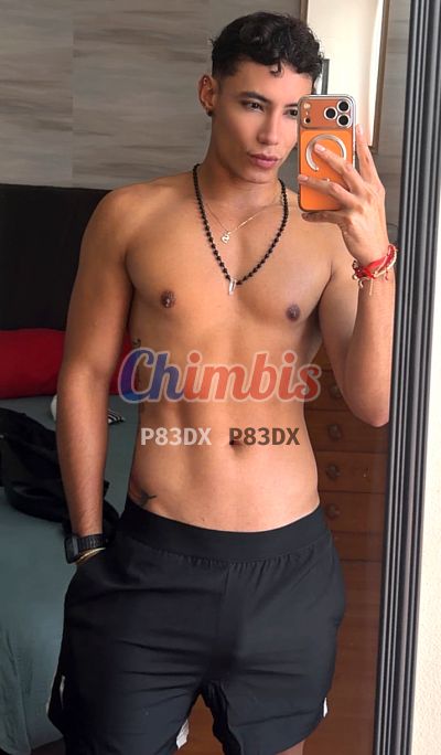 Sebastián 933976748, hombre en Santiago
