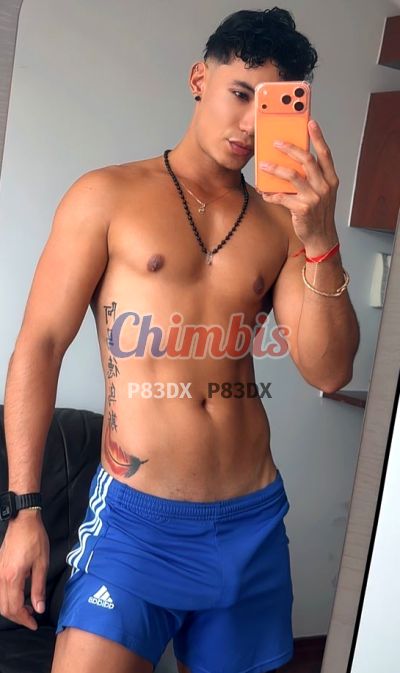 Sebastián 933976748, hombre en Santiago