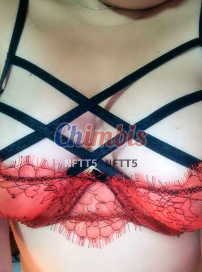 Nikole, puta en Pudahuel (Santiago)