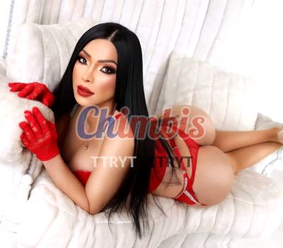 TRANS, travesti en Providencia (Santiago)
