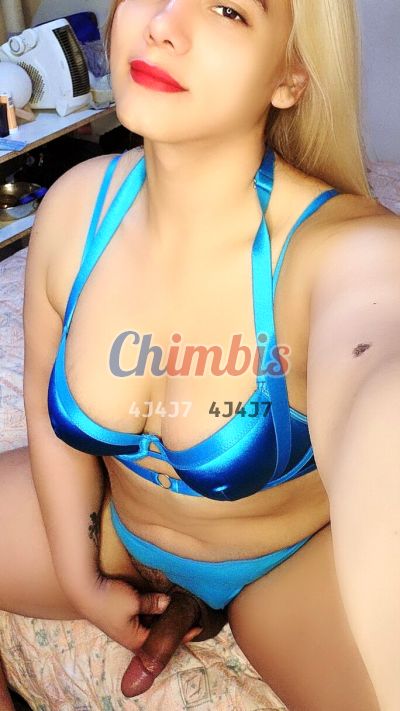 Gabriela Segovia, shemale en Centro (Santiago)