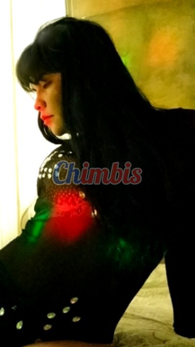 Pao, trans en Antofagasta