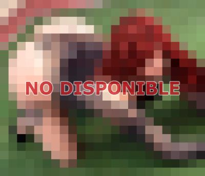 Fabiana, escort en Metro Santa Lucía (Santiago)