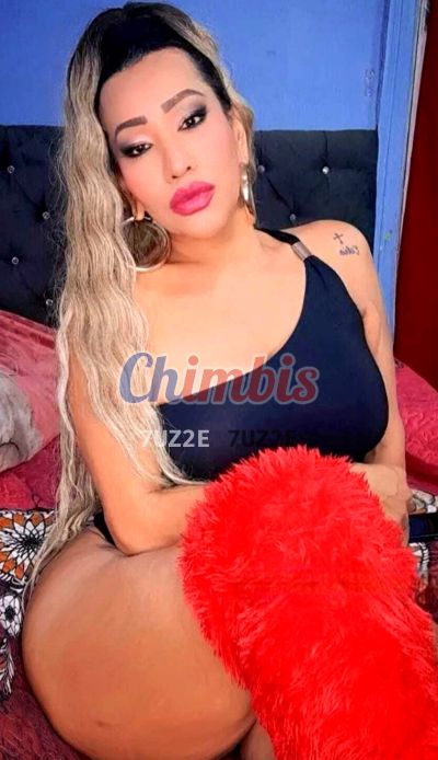 KORAIMA 973656011, trans en Santiago