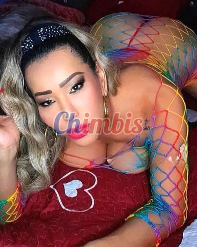 KORAIMA 973656011, trans en Santiago