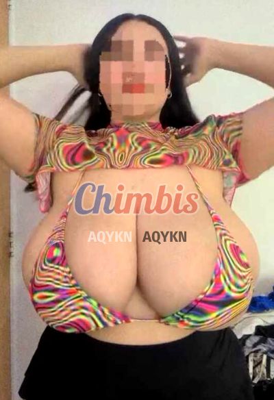 Michell, escort en Metro La Moneda (Santiago)