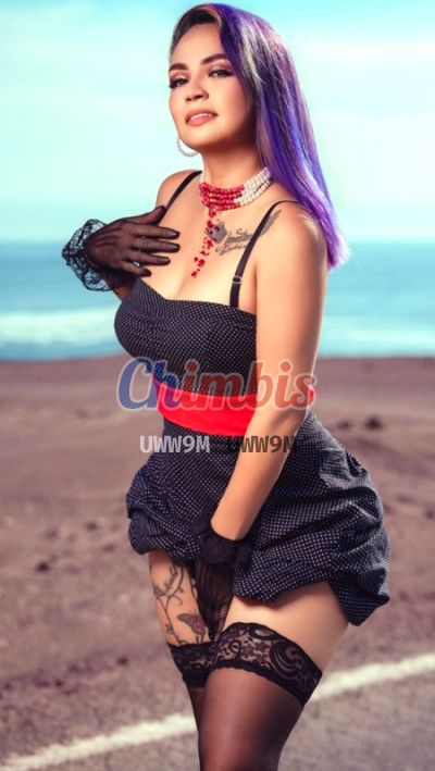 Kamila 934343060, Escort en Metro Bellas Artes (Santiago)