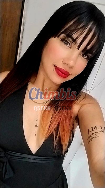 Karin, escort en Santiago