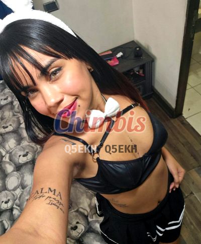 Karin, escort en Santiago