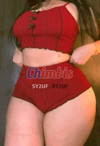 Diana, escort en Metro Irarrázaval (Santiago)