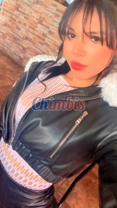 Michel 972688182, Escort en Vallenar