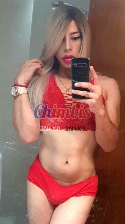 Jessica 954316666, shemale en Puerto Montt