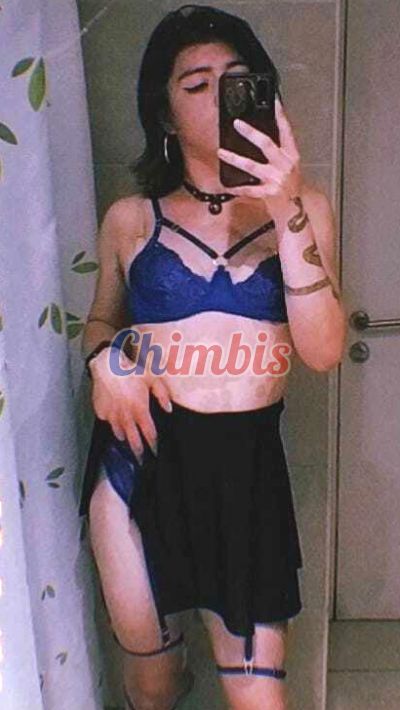 Xaviera 991534595, Transexual en Metro Santa Lucía (Santiago)