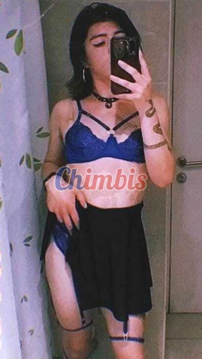 Xaviera 991534595, Transexual en Metro Santa Lucía (Santiago)