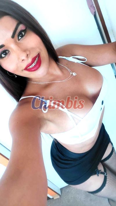 Isidora letelier 976283095, Trans en Viña del Mar