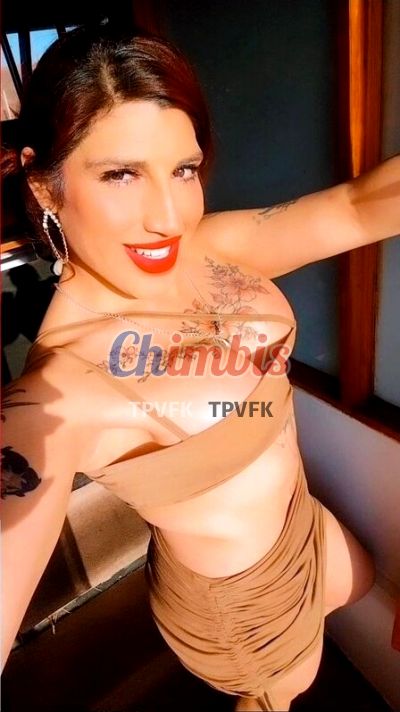 CAMI CHILENA MEJOR OPCION, trans en Concepción