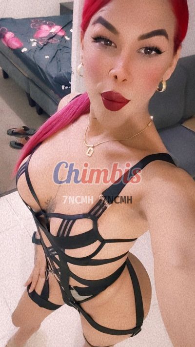 La Diabla, transexual en Santiago