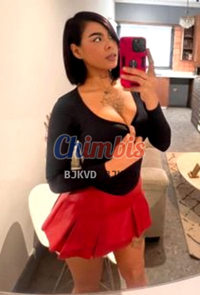 Denisse, escort en Providencia (Santiago)