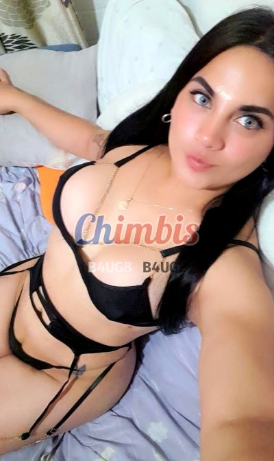 Carolina 952079567, shemale en Independencia (Santiago)