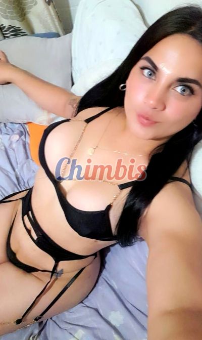Carolina 952079567, shemale en Independencia (Santiago)