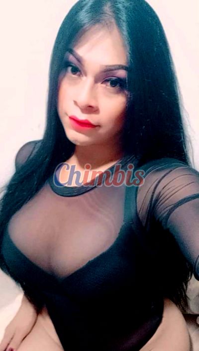 Alexia 923886591, trans en Viña del Mar