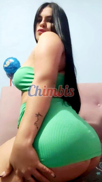 Camila 987877901, Puta en Villa Alemana