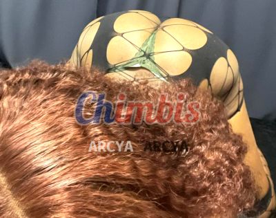 Rossy 929878185, puta en Concepción