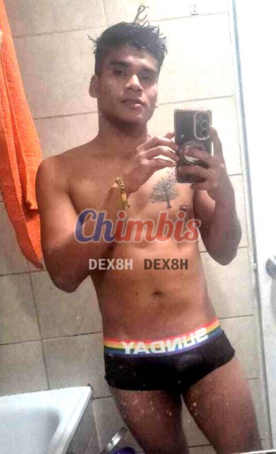 Andres, hombre en Isla de Maipo